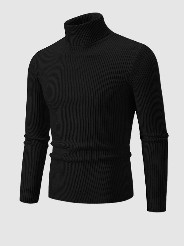 Men's Solid Color Striped Textured Turtleneck Sweater