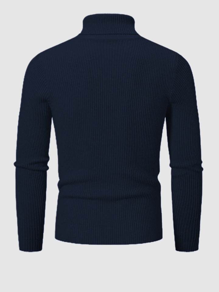 Men's Solid Color Striped Textured Turtleneck Sweater