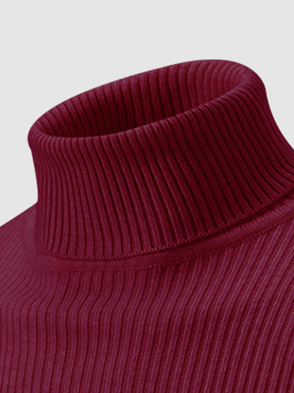 Men's Solid Color Striped Textured Turtleneck Sweater